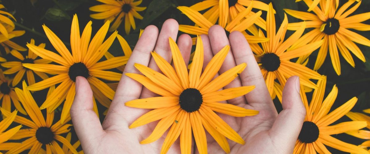 pexels-photo-1697912-1697912 Close-up of hands holding vibrant yellow daisies, showcasing natural beauty and floral pattern.